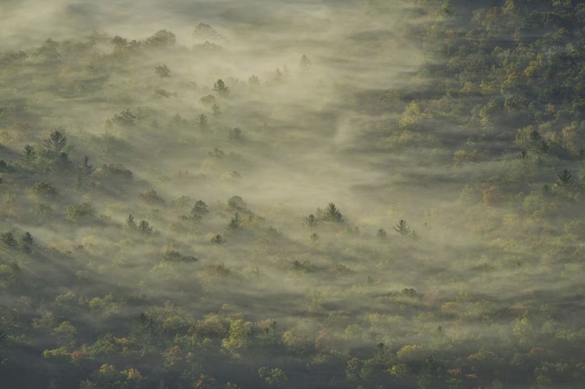 <b>Tihomir Trichkov / "Pictures of the Year" National Geographic</b></br></br>
Wracając do domu z lotniska pewnego wczesnego październikowego poranka, fotograf Tihomir Trichkov przeciął Blue Ridge Parkway w Północnej Karolinie i zauważył słońce wschodzące delikatnie nad doliną. Była ona pokryta gęstą mgłą, a pod nią wyskakiwały jesienne kolory. "Wpatrywałem się w szepczącą tajemnicę, tworząc impresjonizm za pomocą aparatu" - mówi Trichkov. "Dzień wcześniej padało; w powietrzu było mnóstwo wilgoci. Nazwałem to zdjęcie 'Legends of the Fog', gdyż wpatrując się w nie słyszę szepty".
