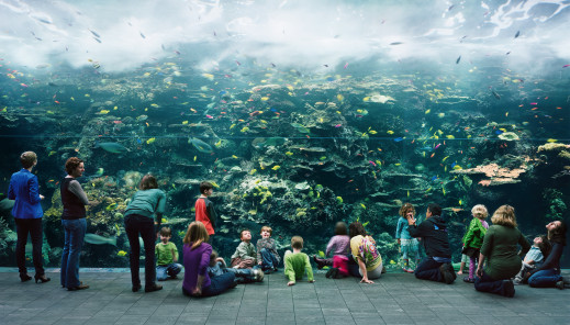 Thomas Struth – uważny obserwator