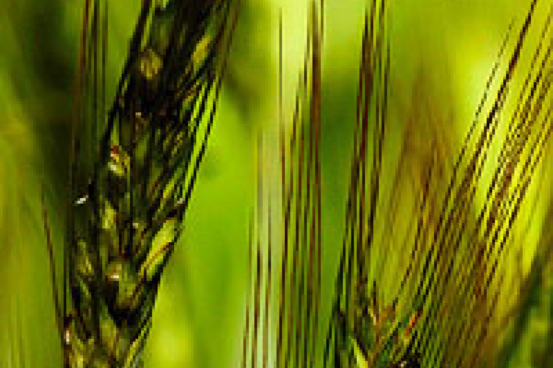 Festiwal ZPFP Foto Natura 2007