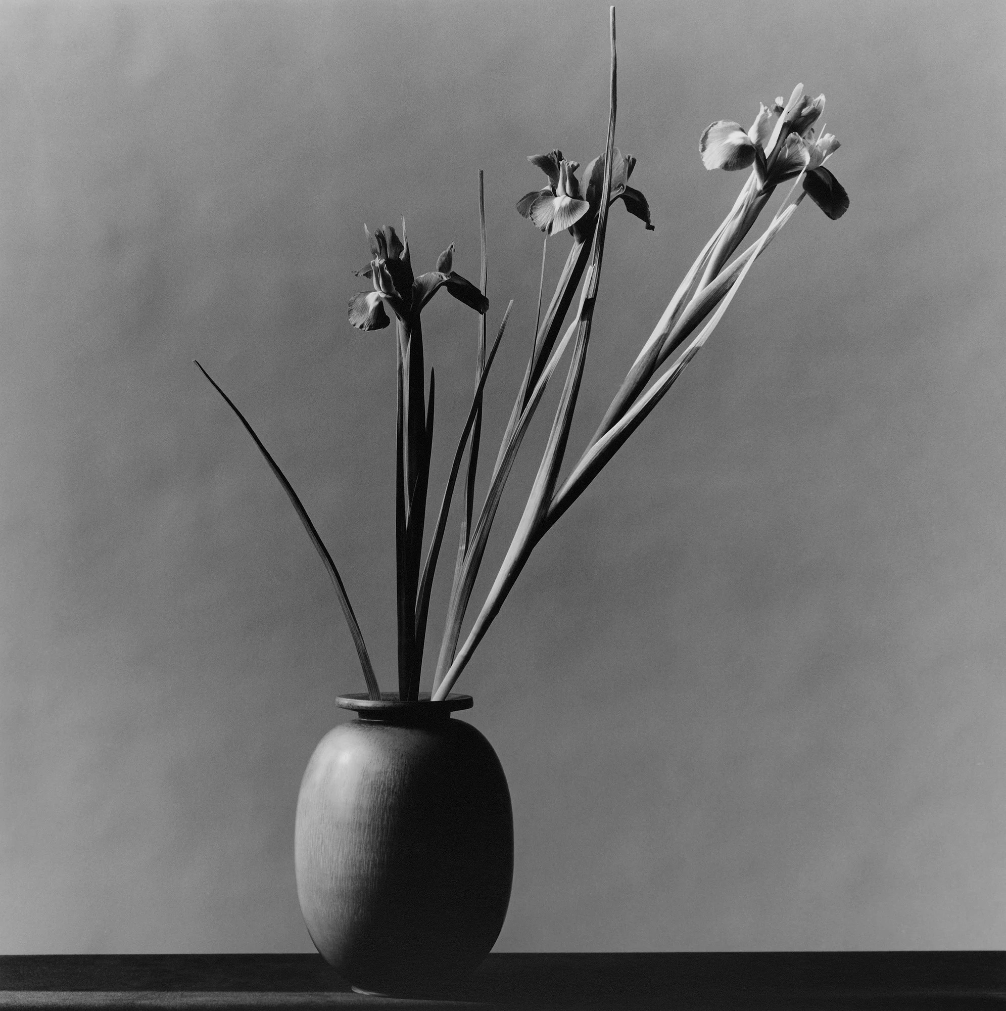 アート・デザイン・音楽 FLORA Mapplethorpe アート・デザイン・音楽 FLORA Mapplethorpe Mapplethorpe Flora