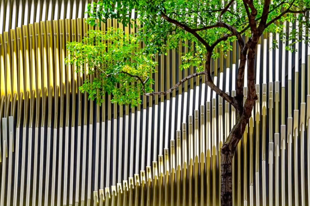 Dlaczego zawsze warto mieć przy sobie aparat? Wideoporady Bryana Petersona 2, cz. 5