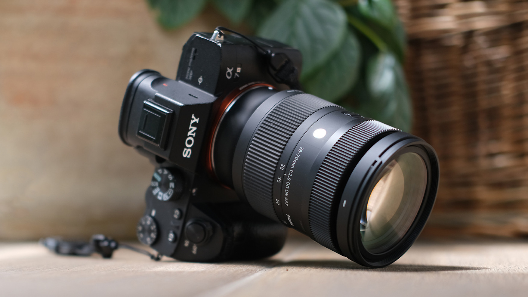 Sigma 28-70 mm f/2.8 DG DN Contemporary - opinia i zdjęcia