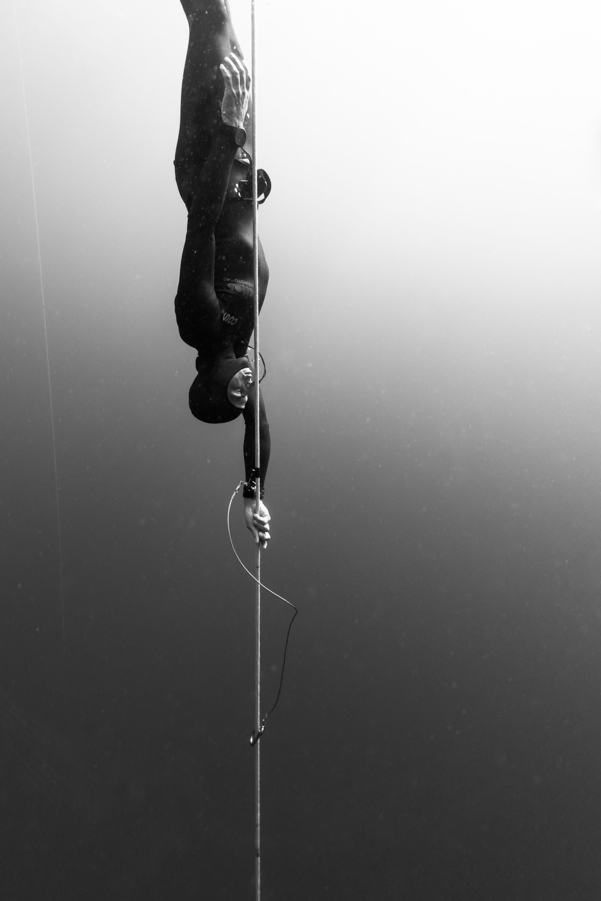 fot. Kohei Ueno, Beneath the surface of competitive Freediving, Sports Photographer Of the Year, Professional