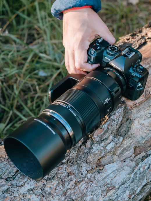 OM System ED 100-400 mm f/5-6.3 IS II - druga generacja popularnego telezooma