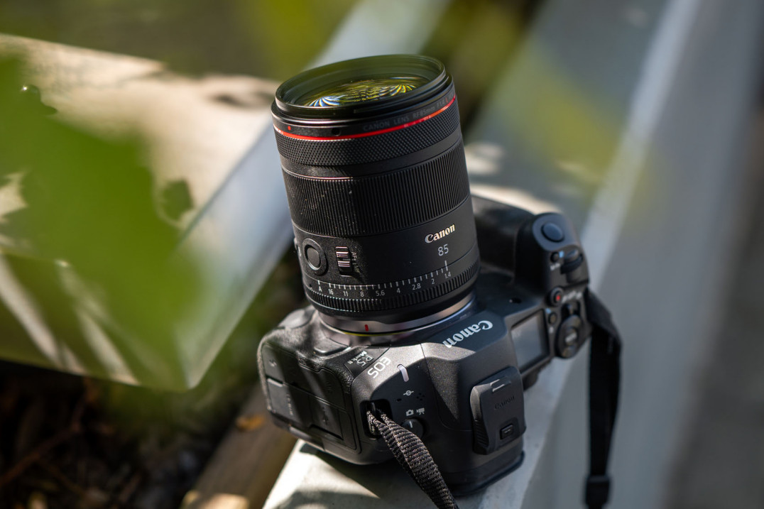 Canon RF 85 mm f/1.4L VCM - pierwsze wrażenia i zdjęcia przykładowe