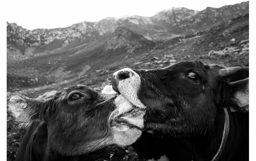 fot. Beniamino Pisati, Up There / nagroda w konkursie Urban International Photo Awards 2020