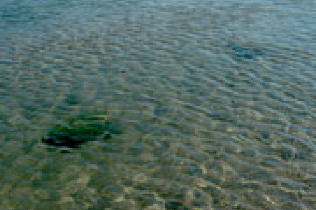 "Opowieści z krypty" - Po co się spinać? Czyli pora na felieton urlopowy