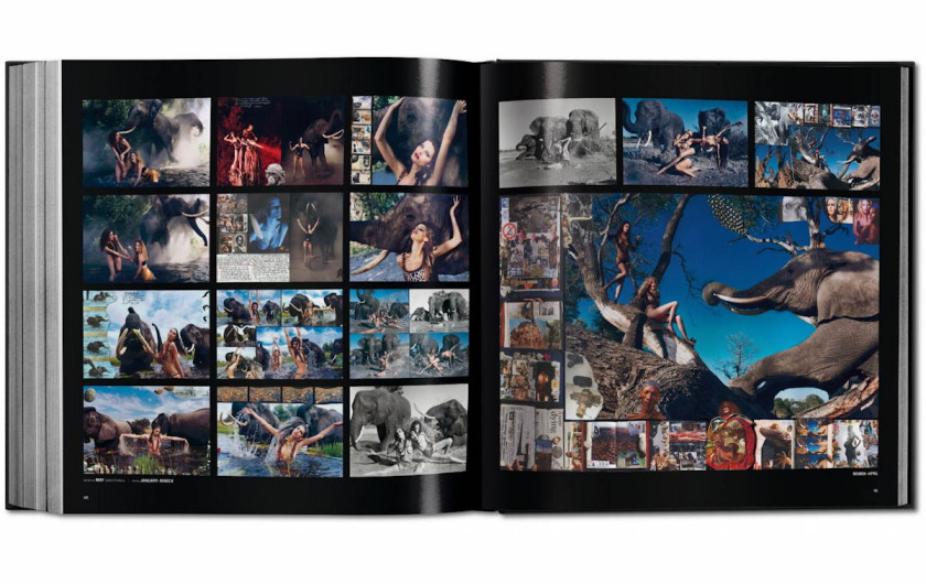 Pirelli The Calendar - 50 Years and More