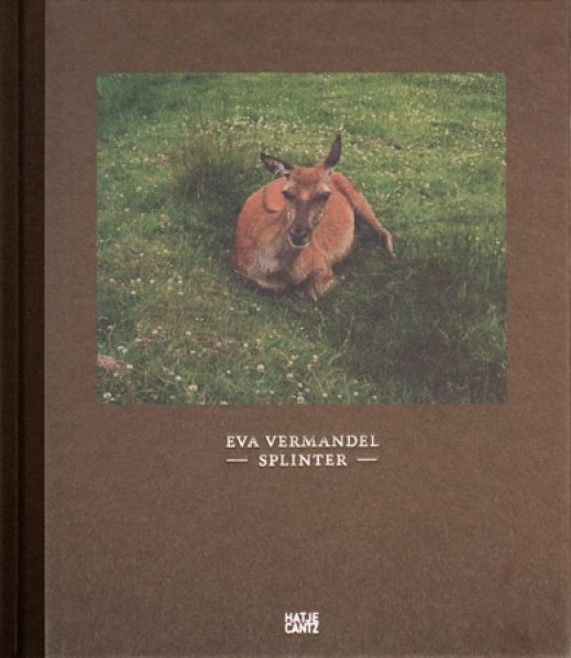 Eva Vermandel "Splinter" - recenzja
