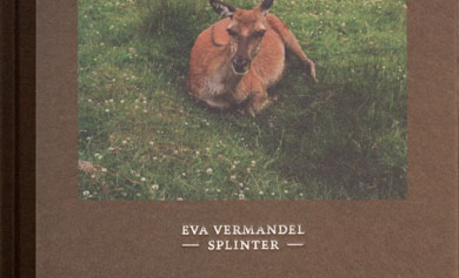 Eva Vermandel "Splinter" - recenzja