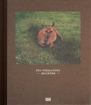 Eva Vermandel "Splinter" - recenzja