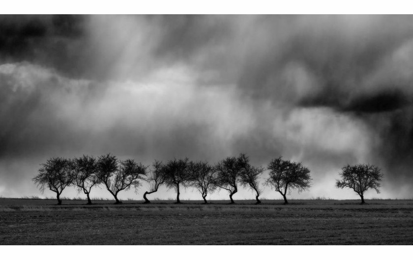 fot. Krzysztof Muskalski, wyróżnienie w konkursie Monochrome Awards 2020