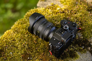 Sony FE 16-25 mm f/2.8 G - test obiektywu