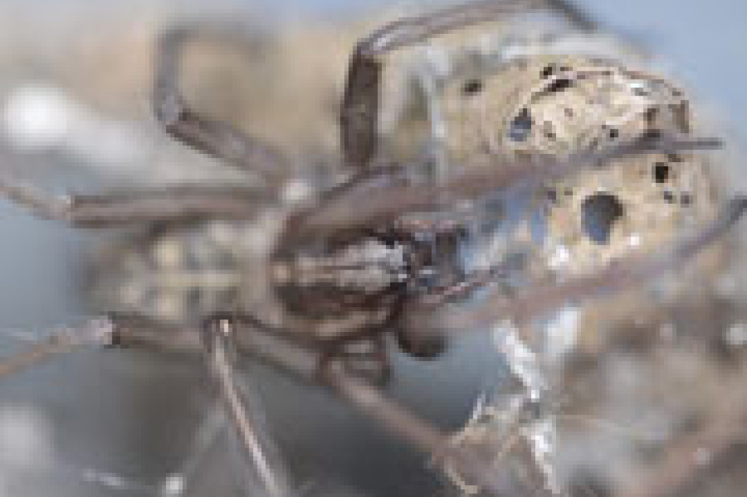 Canon EOS 60D - opinia Sławomira Ryboka