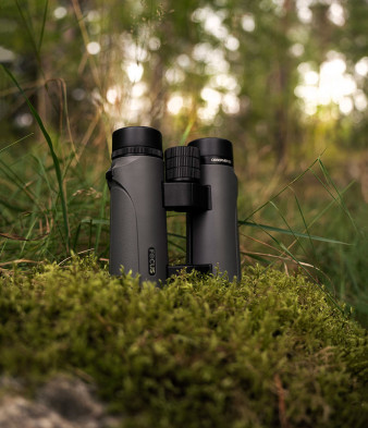 Lornetki dla fotografów przyrody - przegląd rynku (2026)