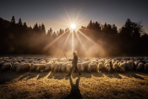 Ruszyła kolejna edycja LaMPA Lądek Mountain Photo Award