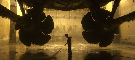 Galeria finalistów Smithsonian Photo Contest 2017 to różnorodne spojrzenie na otaczający nas świat. Wśród wyróżnionych Adam Żądło