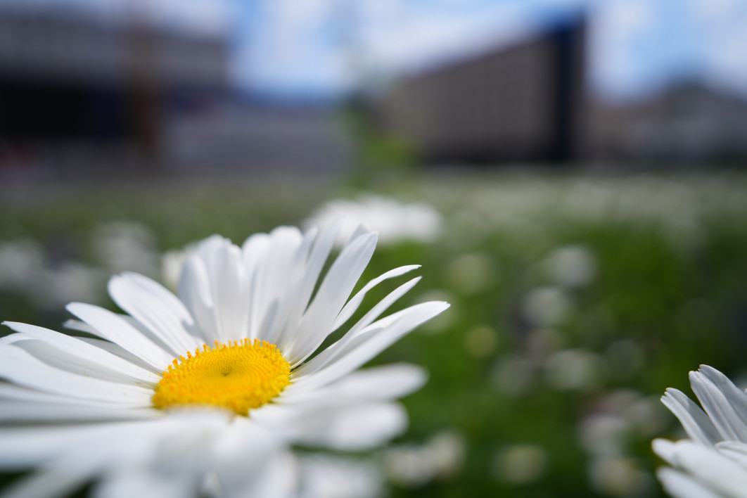 1/2500 s, f/2.8, ISO 100, 24.0 mm