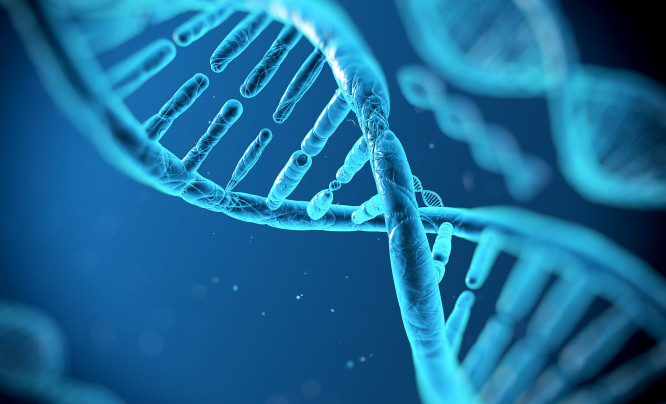  Dyski przyszłości z kodem DNA? Badania trwają i są w zaawansowanej fazie