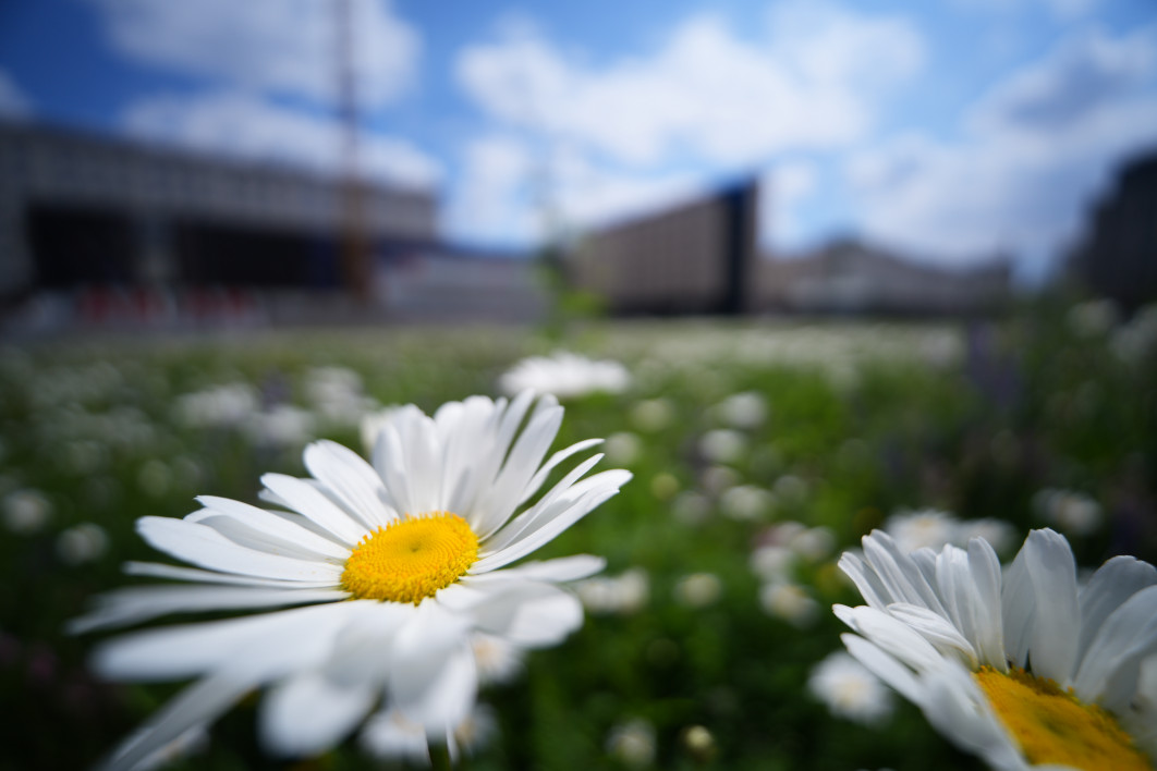 1/3200 s, f/2.8, ISO 100, 14.0 mm