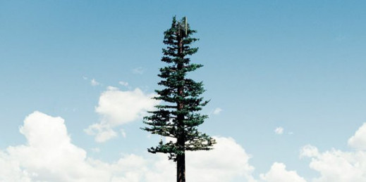 Robert Voit „New Trees” - recenzja