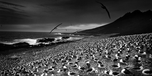 Polacy wśród finalistów konkursu International Photography Awards 2015