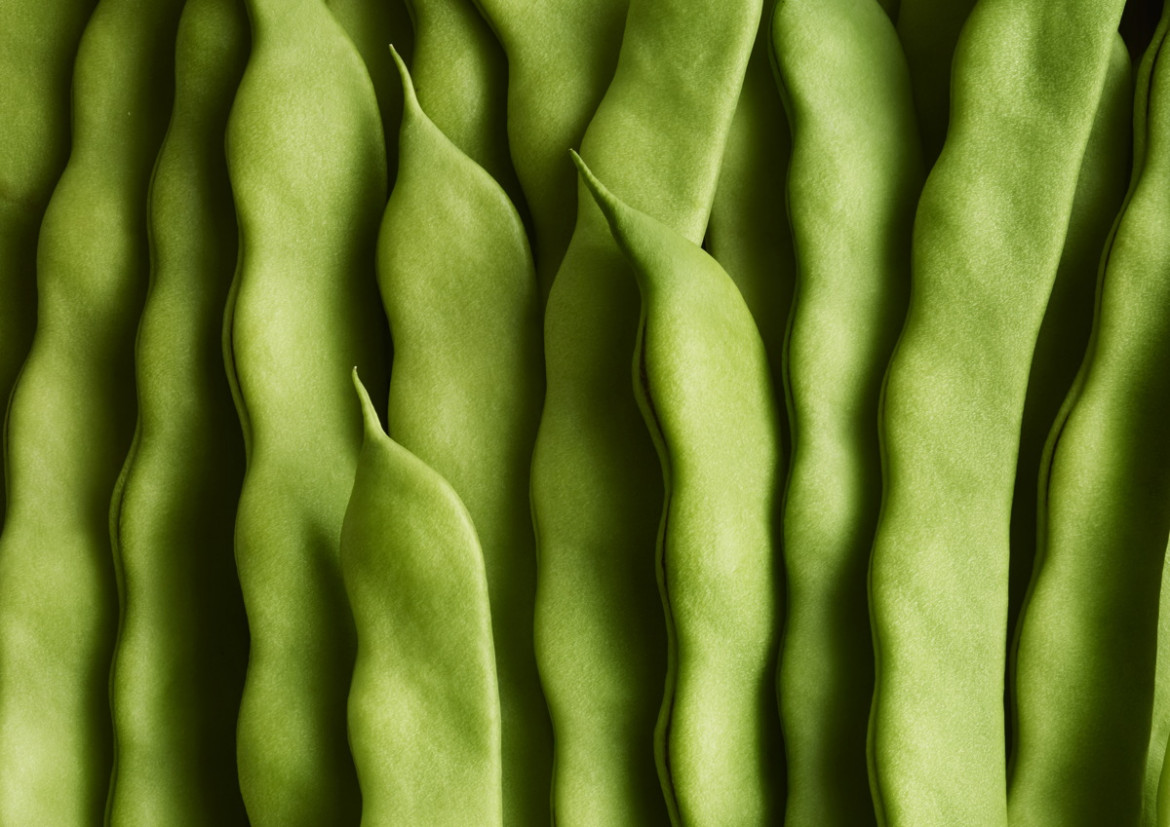 fot. Andy Grimshaw, "Green Beans", 1. miejsce w kategorii One Vision Imaging Cream of the Crop