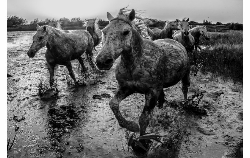 fot. Leszek Nowak, wyróżnienie w konkursie Monochrome Awards 2020