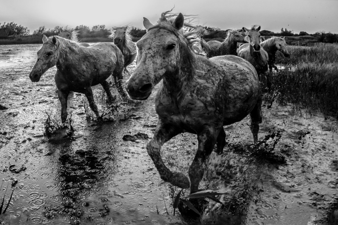 fot. Leszek Nowak, wyróżnienie w konkursie Monochrome Awards 2020