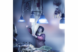 Alexis Goodwin, „fish scissor“ z cyklu „Shanghai Dreams“