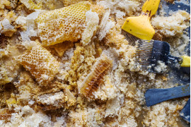 fot. Becci Hutchings, "Honeycomb and Wax", 1. miejsce w sekcji Student Photographer of the Year