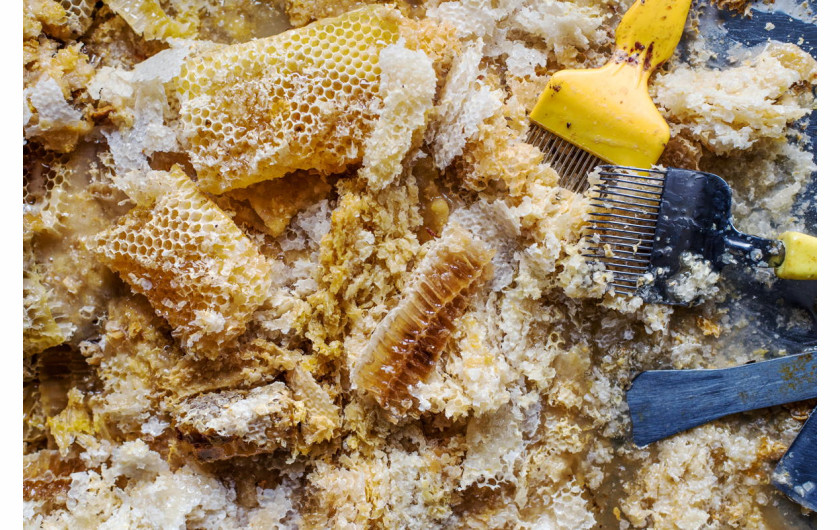 fot. Becci Hutchings, Honeycomb and Wax, 1. miejsce w sekcji Student Photographer of the Year