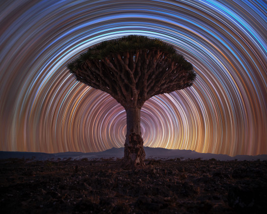 Fot. Benjamin Barakat, Dragon Tree Trails, finalista kat. Skyscapes / ZWO Astronomy Photographer of the Year 2025