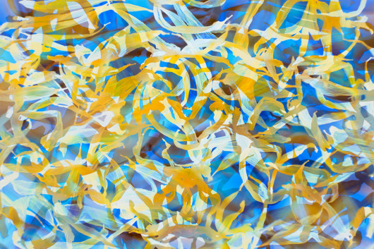 Jane Simmonds, II miejsce w kategorii Abstract