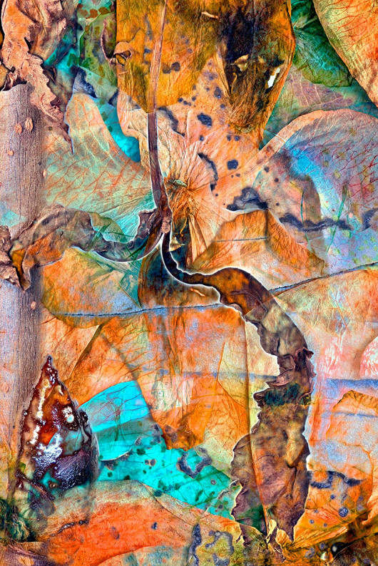 Frantisek Rerucha, III miejsce w kategorii Abstract