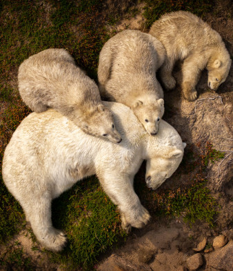 Wildlife Photographer of the Year People’s Choice Award 2026 - oto zdjęcia, które podbiły serca publiczności