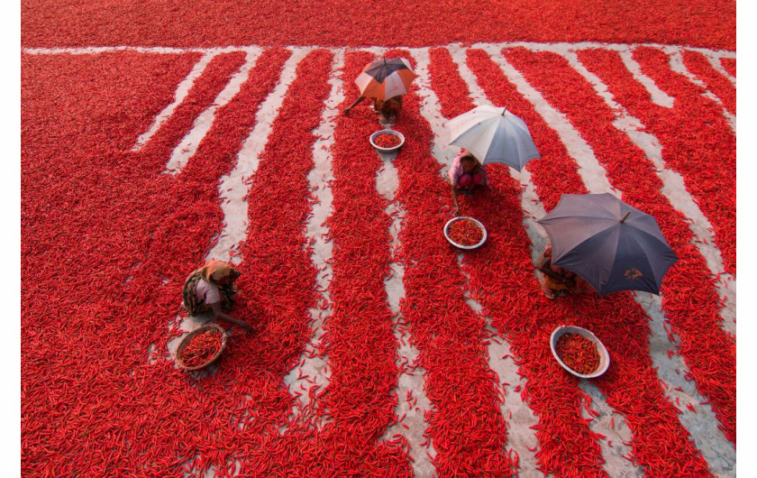 fot. Azim Khan Ronni, Red Chili Pepper Pickers, finalista kategorii Travel