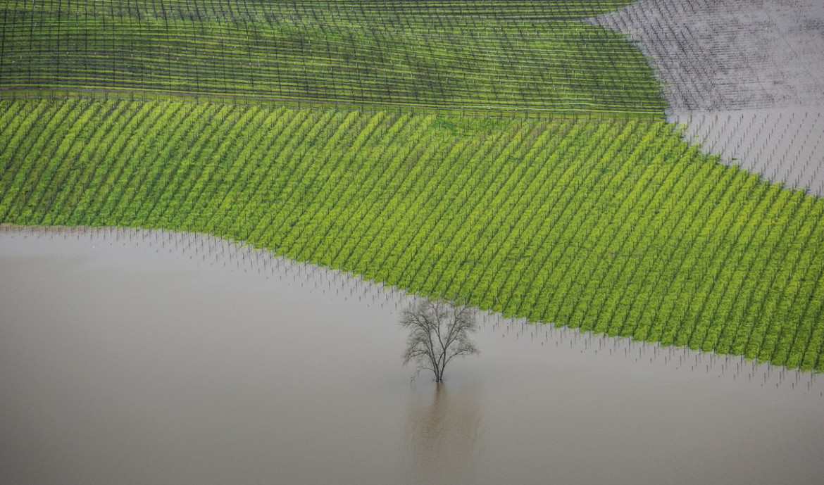 fot. George Rose, "Vineyard Flooding", 1. miejsce w kategorii Errazuriz Wine Photographer of the Year - Places