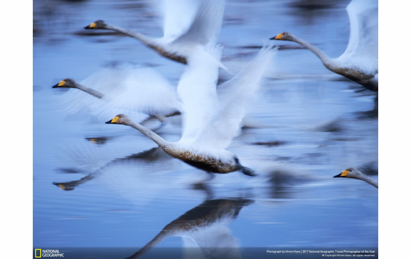 fot. Hiromi Kano, To Live, 2. miejsce w kategorii Natura