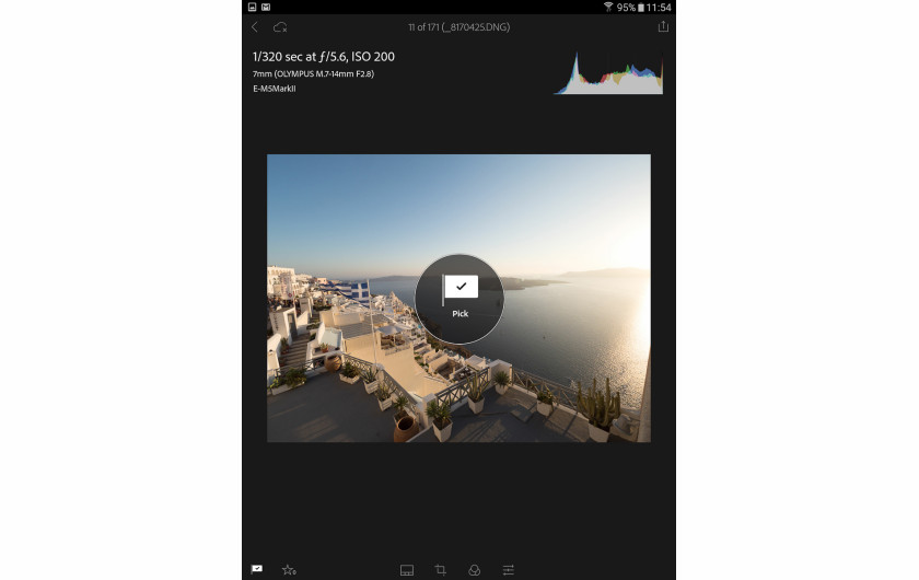 Adobe Lightroom Mobile - system ocen (flagi)