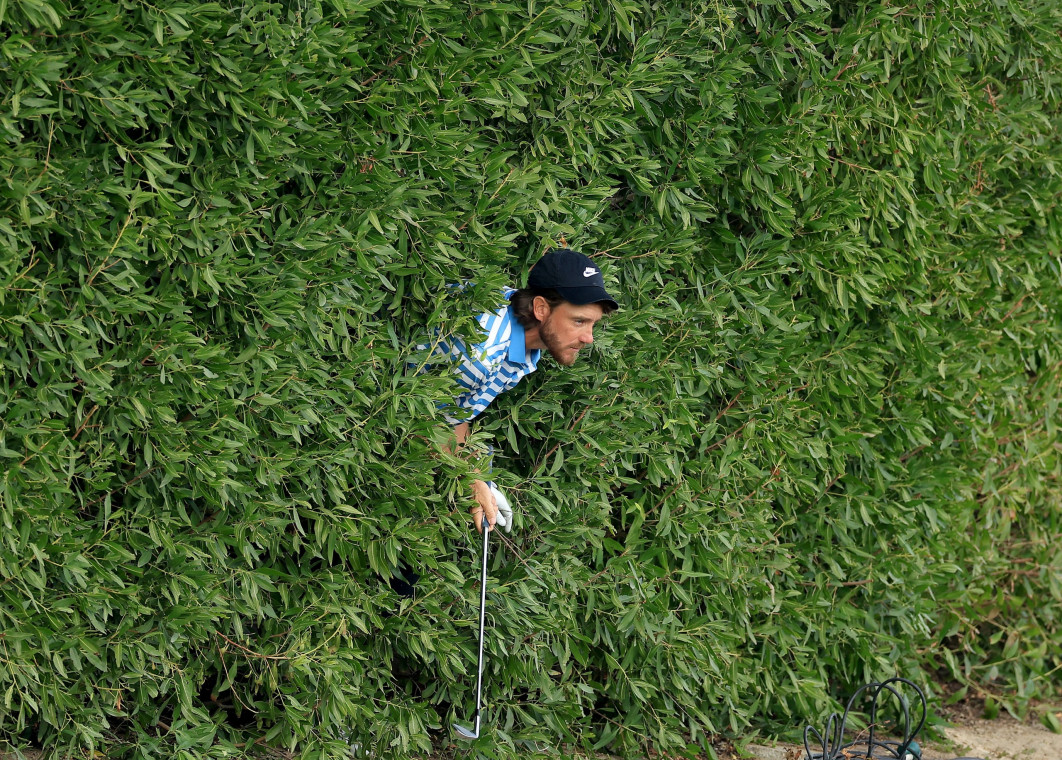 Fot. David Cannon, "Tommy Fleetwood Emerges From A Hedge", 1. miejsce w kat. Golf / World Sports Photography Awards 2026