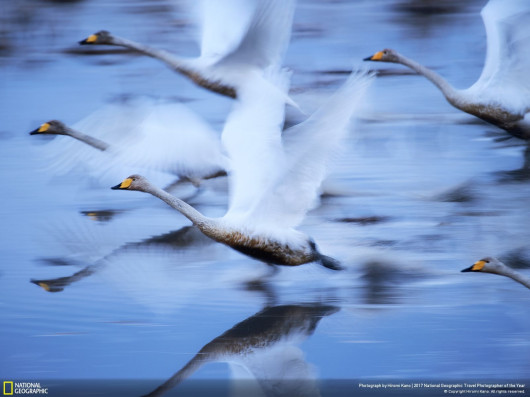 fot. Hiromi Kano, To Live, 2. miejsce w kategorii Natura