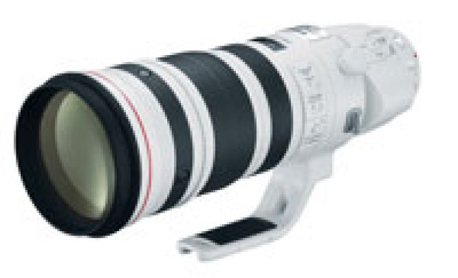 Canon EF 200-400mm f/4L IS USM Extender 1.4x