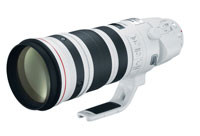 Canon EF 200-400mm f/4L IS USM Extender 1.4x