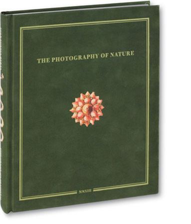Joan Fontcuberta "The Photography of Nature & The Nature of Photography" - recenzja