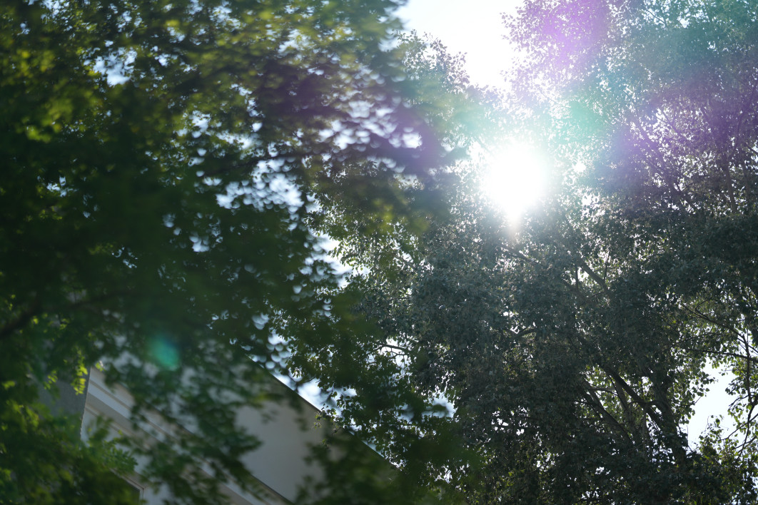 1/8000 s, f/1.4, ISO 100, 85 mm