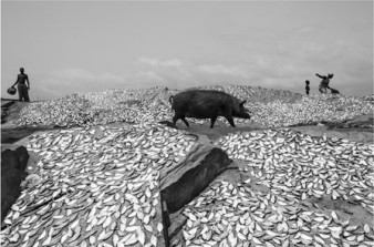 Ney Gallery&amp;Prints - nowa galeria w Warszawie