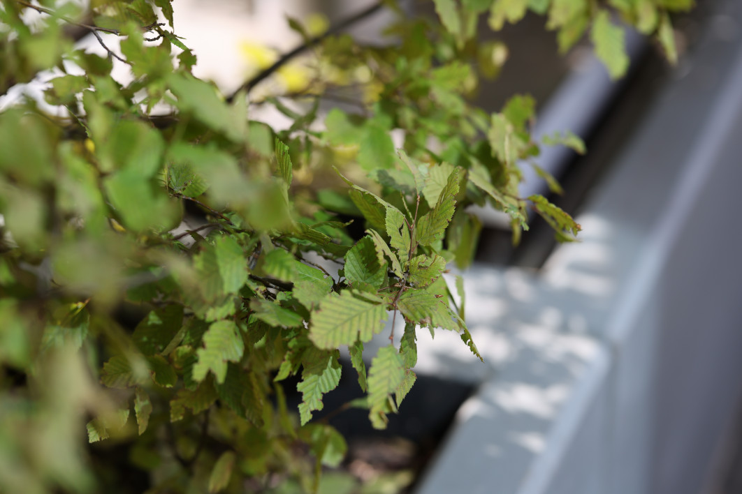 1/800 s, f/2.2, ISO 100, 85.0 mm