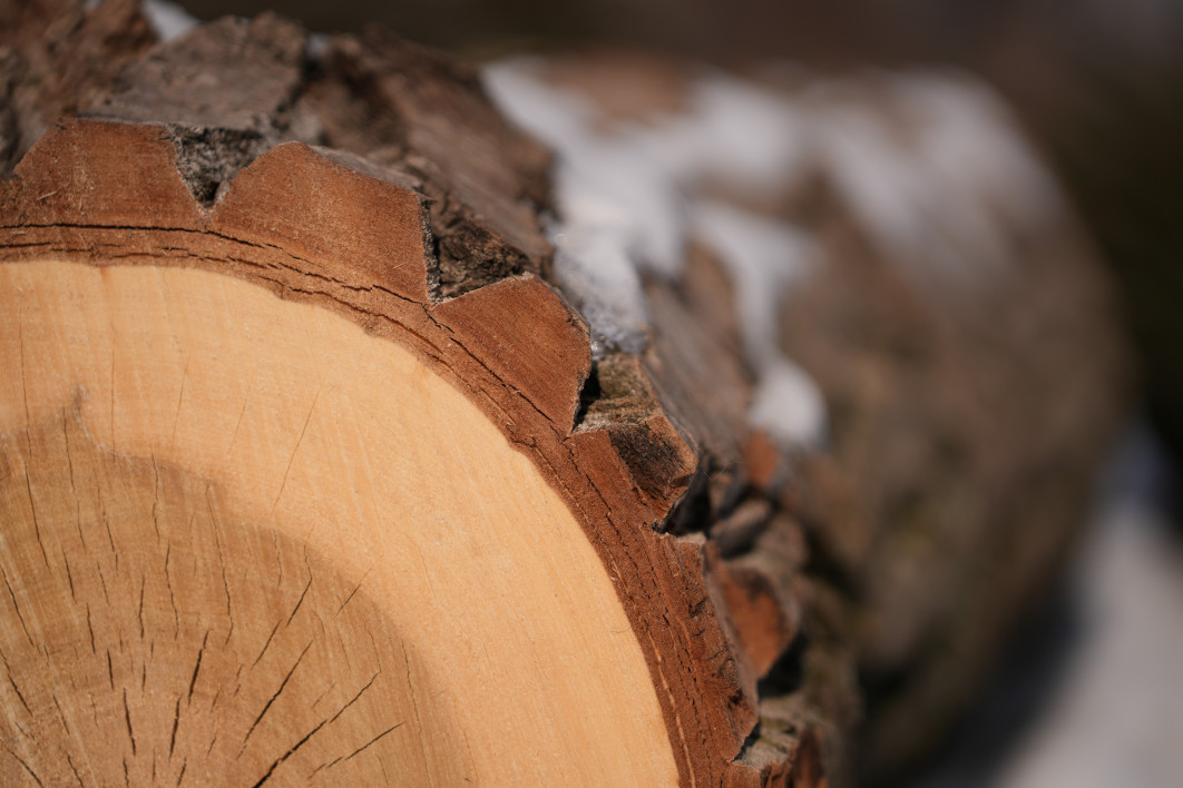 1/3200 s, f/2.8, ISO 100, 100.0 mm