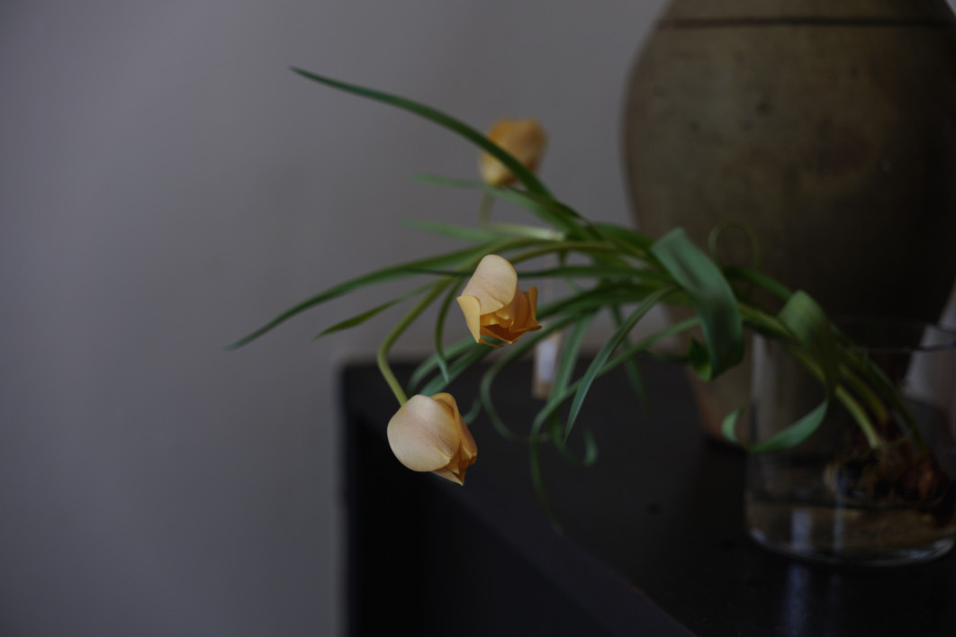1/25 s, f/4, ISO 250, 60.0 mm